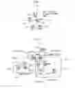 Fig. 03 - Image encoding method and image encoding apparatus