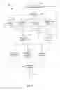 Fig. 09 - DATA LINK BEHAVIOR FOR MERGER OF WIRELESS NETWORK CLUSTERS
