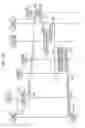 Fig. 35 - Communication method, information processing apparatus, and non-transitory computer-readable recording medium