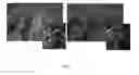 Fig. 03 - Herbicidal compositions and methods