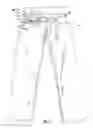 Fig. 02 - Eyeglasses Holder on Pants