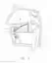 Fig. 03 - NASAL RELIEF AND SNORING STOPPING DEVICE