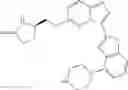 Fig. 490 - SUBSTITUTED-IMIDAZOPYRIDAZINES