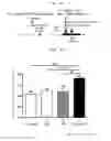 Fig. 06 - Anti-fatigue composition
