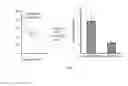 Fig. 08 - Compositions and methods for cardiac regeneration