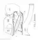 Fig. 02 - VAGINAL CARRIER FOR THE CONTROLLED RELEASE OF SUBSTANCES