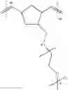 Fig. 09 - Hydrophilically modified fluorinated membrane (II)