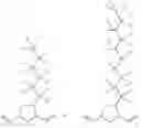 Fig. 40 - Hydrophilically modified fluorinated membrane (II)