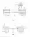 Fig. 09 - SHELL AND TUBE HEAT EXCHANGER