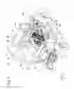 Fig. 02 - Mounting structure for power unit of utility vehicle and utility vehicle employing same mounting structure