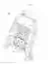 Fig. 02 - Lumbar support assembly