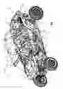 Fig. 02 - Side-by-side vehicle