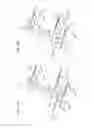 Fig. 09 - Articulating support in a vehicle seat