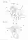 Fig. 09 - Head protecting airbag device