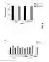Fig. 07 - Monovalent antigen binding constructs targeting EGFR and/or HER2 and uses thereof
