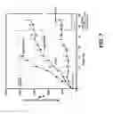 Fig. 08 - Monovalent antigen binding constructs targeting EGFR and/or HER2 and uses thereof
