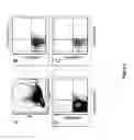 Fig. 03 - Anti-DR6 antibodies and methods of immune regulation
