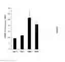 Fig. 05 - Anti-DR6 antibodies and methods of immune regulation
