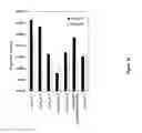 Fig. 19 - Anti-DR6 antibodies and methods of immune regulation