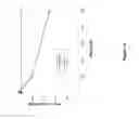 Fig. 20 - Anti-DR6 antibodies and methods of immune regulation