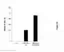 Fig. 23 - Anti-DR6 antibodies and methods of immune regulation