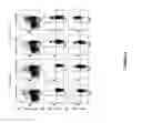 Fig. 26 - Anti-DR6 antibodies and methods of immune regulation