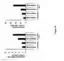 Fig. 27 - Anti-DR6 antibodies and methods of immune regulation