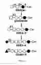 Fig. 02 - Compositions and methods for treatment and detection of cancers