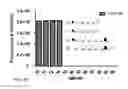 Fig. 09 - Compositions and methods for treatment and detection of cancers