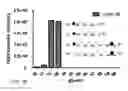 Fig. 10 - Compositions and methods for treatment and detection of cancers