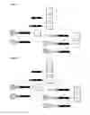 Fig. 09 - APOB  Antisense Conjugate Compounds