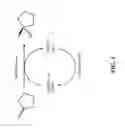 Fig. 02 - Ketoreductase polypeptides for the production of (R)-3-hydroxythiolane
