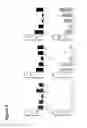 Fig. 06 - Method for optimizing the assembly and production of hetero-multimeric protein complexes