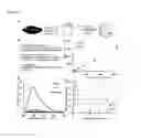 Fig. 06 - Reduced graphene oxide-based biosensors