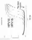 Fig. 47 - Multiplex amplification and detection