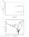 Fig. 06 - Method and apparatus for corrosion inhibition