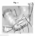 Fig. 02 - Clear Lavatory Undersink Drain Assembly with Removable Trap & Safety Clips