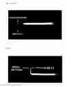 Fig. 08 - COATING COMPOSITION AND SYSTEM FOR RENEWAL OF ASPHALT SHINGLE ROOFS AND METHOD OF APPLICATION THEREOF