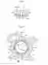 Fig. 08 - Valve opening/closing timing control device