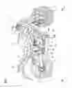 Fig. 02 - Exhaust pipe structure for vehicle