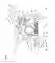 Fig. 09 - Exhaust pipe structure for vehicle
