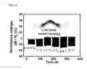 Fig. 08 - STRAIN SENSOR USING NANOCOMPOSITE AND METHOD FOR MANUFACTURING THEREOF
