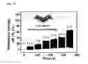 Fig. 09 - STRAIN SENSOR USING NANOCOMPOSITE AND METHOD FOR MANUFACTURING THEREOF
