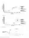 Fig. 09 - TEMPERATURE SENSOR