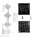 Fig. 02 - CELL-FREE IN VITRO MODELS FOR TRAUMATIC BRAIN INJURY AND METHODS FOR PREPARATION AND USE THEREOF