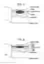 Fig. 06 - Low Energy Laser Spectroscopy