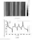 Fig. 08 - APPARATUS AND METHOD FOR X-RAY GRATING PHASE-CONTRAST IMAGING