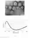 Fig. 02 - Process for making an anti-reflective coating composition and a porous coating made therefrom