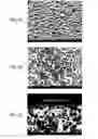 Fig. 04 - Waveguides comprising light scattering surfaces and display devices comprising the same