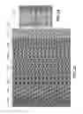 Fig. 22 - Holographic wide angle display